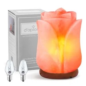 100% Authentic Natural Himalayan Salt Lamp